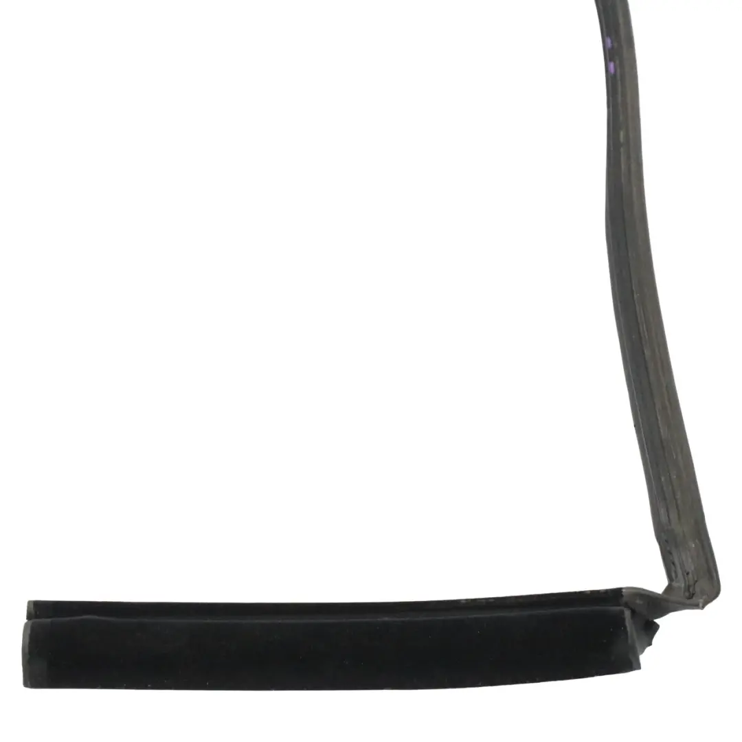 BMW E46 Convertible Folding Top Roof Seal Cowl Sealing Gasket - SKU 8229828 - Part number 8229828