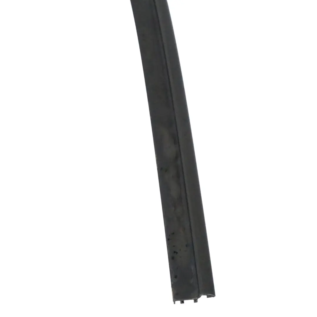 BMW E46 Cabrio Rear Folding Top Compartment Lid Trim Panel Strip - SKU 8244277 - Part number 8244277