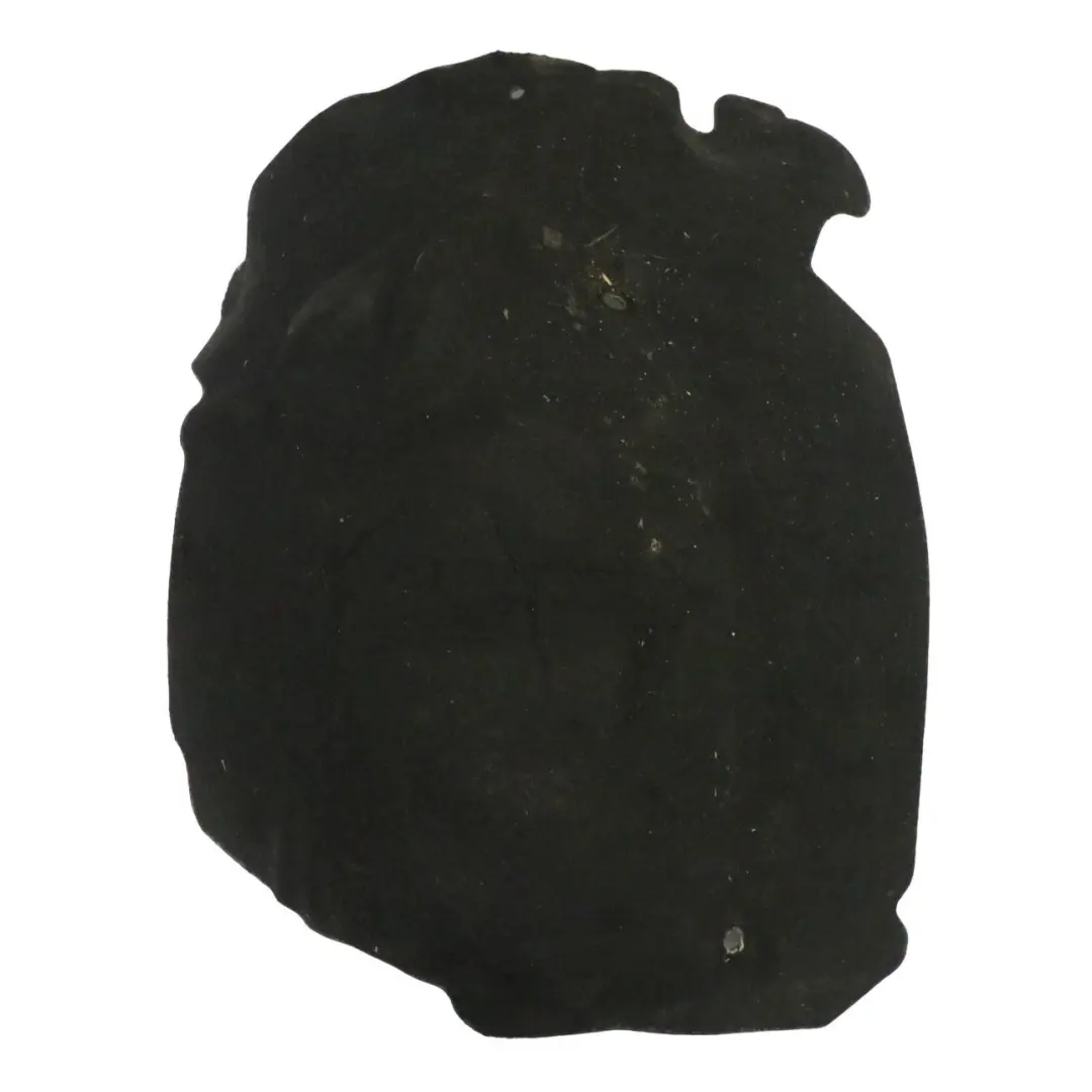 Acoustic Cover BMW G01 G02 G20 B57 Diesel Rear Engine Panel Lid Trim to with Part number 8570839 Acoustic Cover BMW G01 G02 G20 B57 Diesel Rear Engine Panel Lid Trim - SKU 8570839 - Part number 8570839