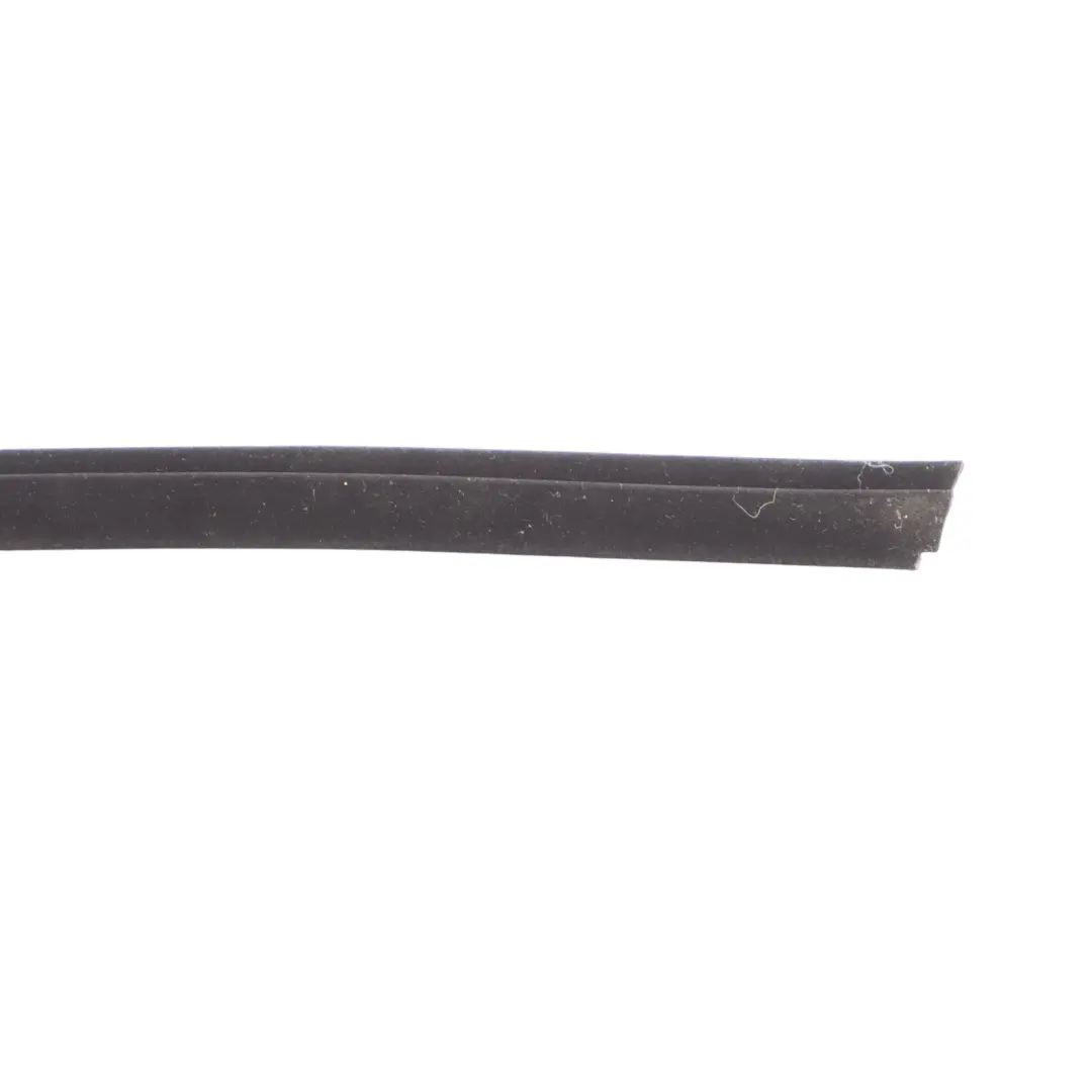 Audi A3 8P Window Seal Door Rear Left N/S Weatherstrip Gasket Rubber - SKU 8P4839479 - Part number 8P4839479