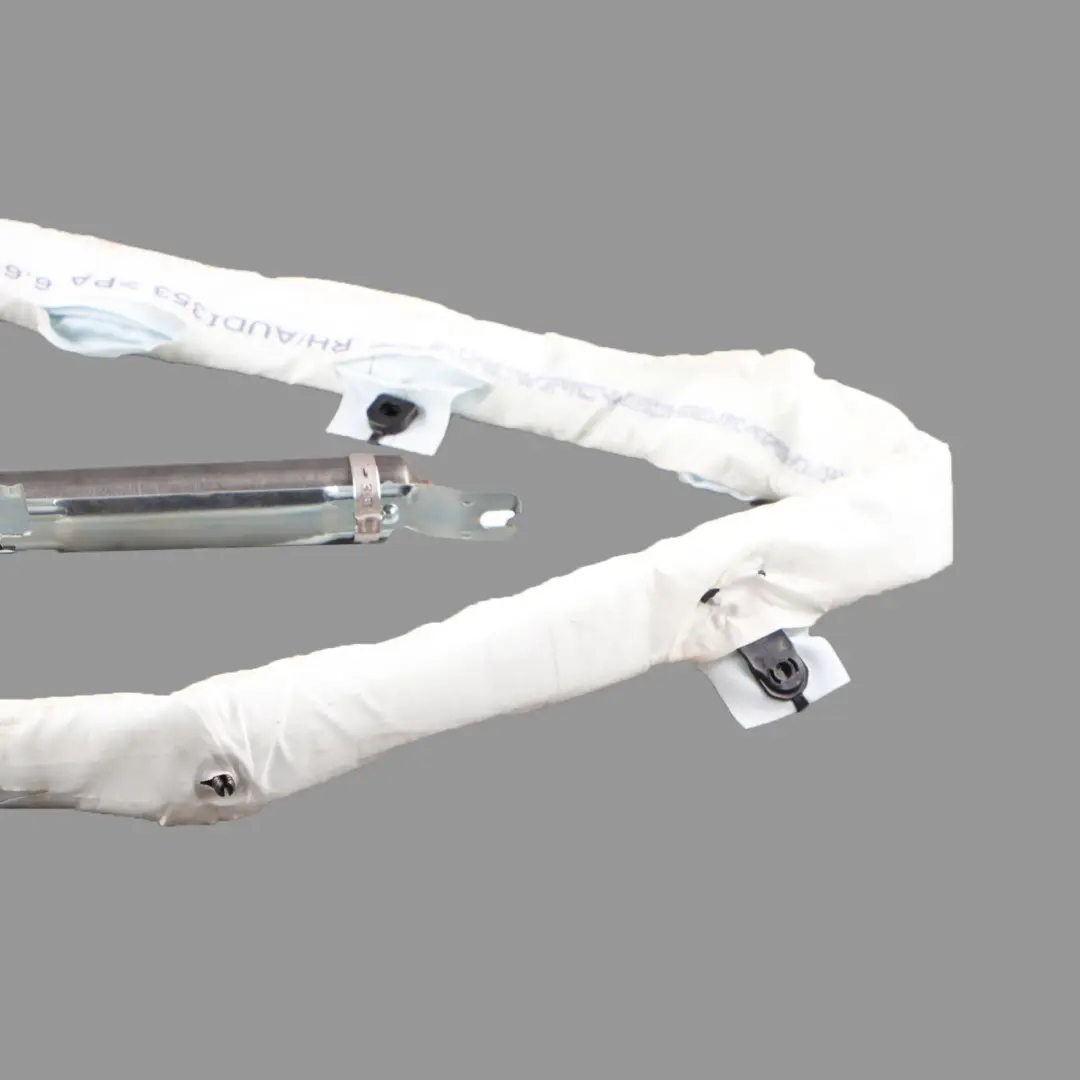 AUDI A3 8P Módulo Aire Cortina de Techo Derecho SRS Unidad Control - SKU 8P4880742J - Número de pieza 8P4880742J
