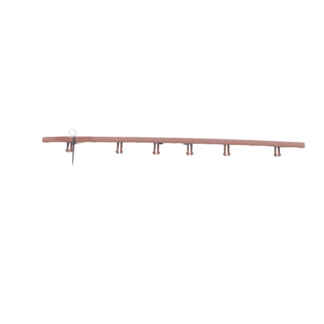 BMW F10 F11 Trim Strip Dashboard Console Instrument Panel Cover Zimtbraun Brown - SKU 9209785 - Part number 9209785