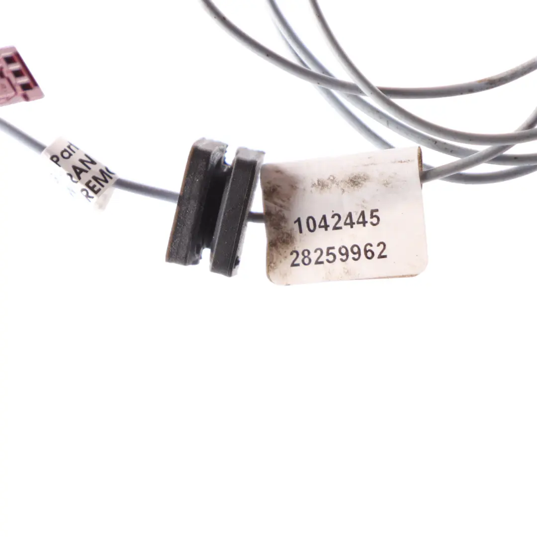 BMW F31 Touring Techo Antena Antena Cable Loom Cableado - SKU 9230123 - Número de pieza 9230123