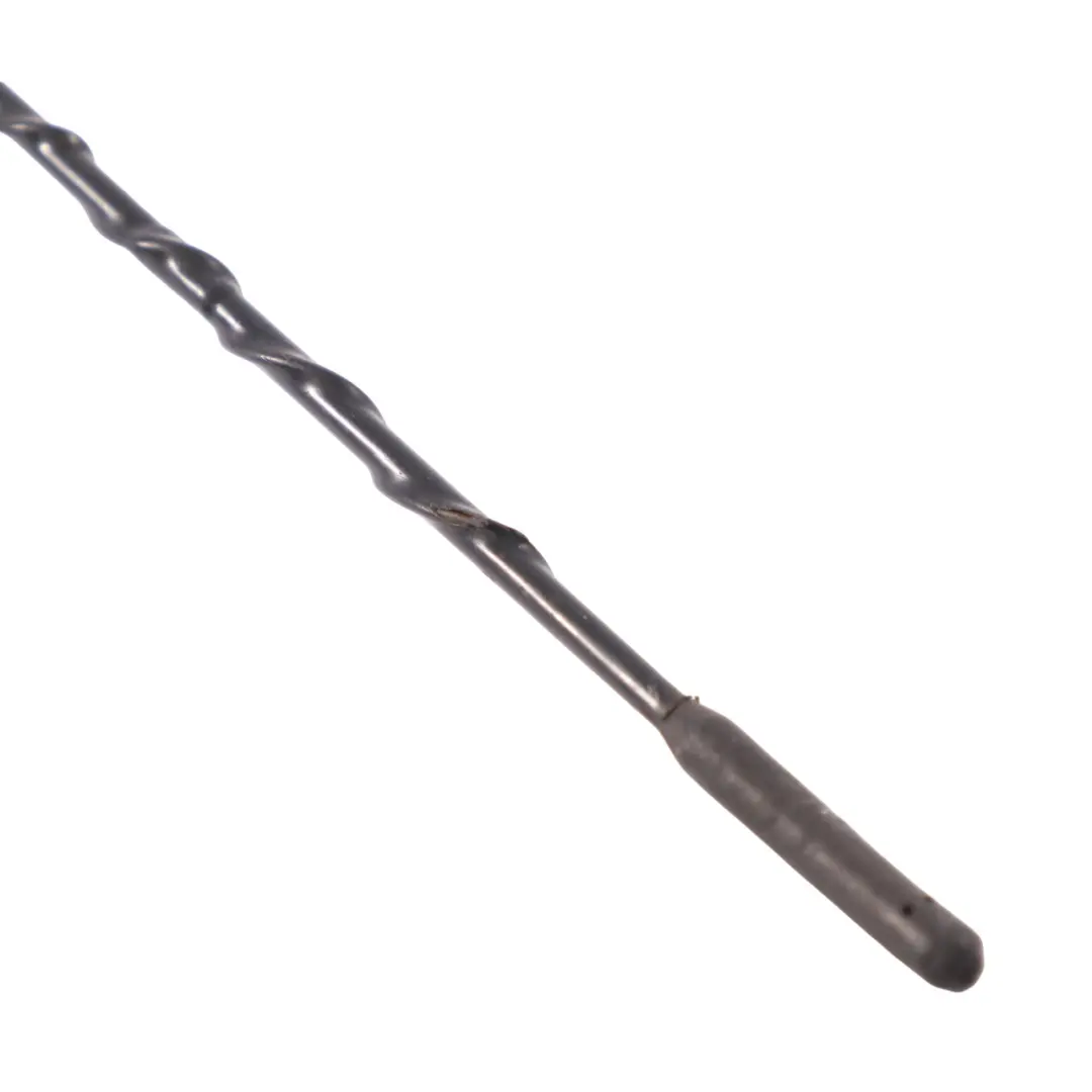 Hyundai H-1 Aerial Roof Antenna Radio Rod - SKU 962004H100 - Part number 962004H100