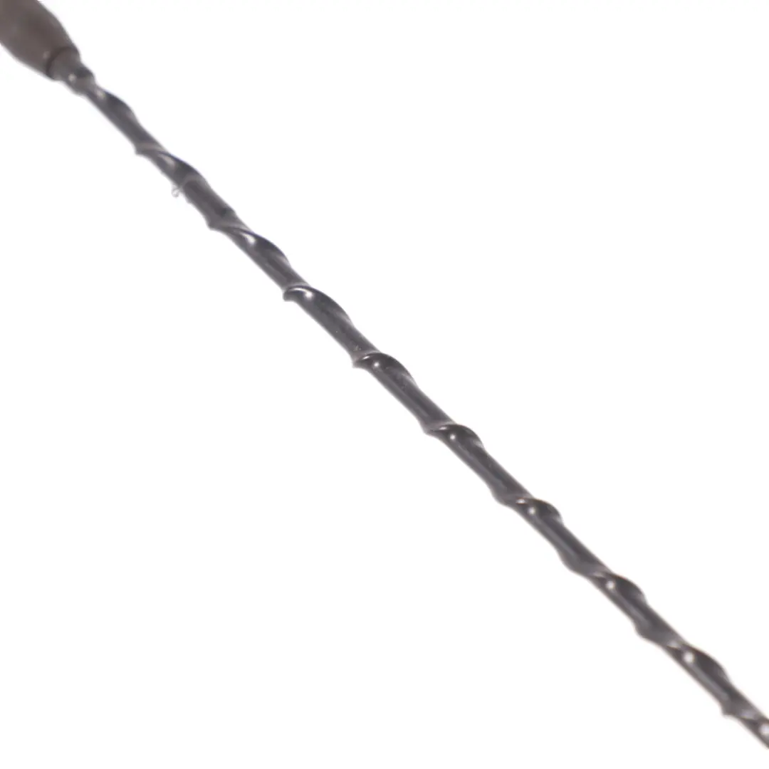 Hyundai H-1 Aerial Roof Antenna Radio Rod - SKU 962004H100 - Part number 962004H100