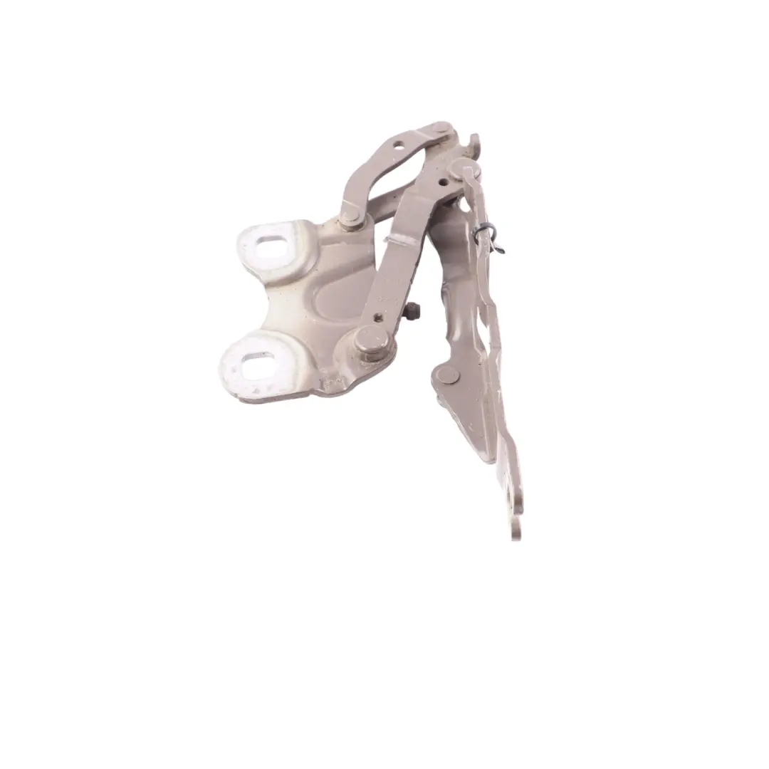 Mini R60 Cerniera Cofano Anteriore Sinistra Caffè Chiaro B19 - SKU 9801569-LCF - Numero di parte 9801569
