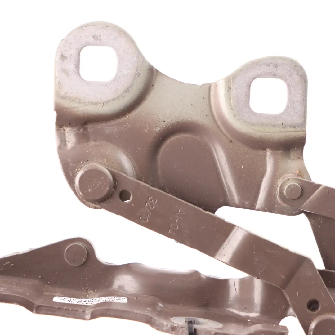 Cerniera Cofano Anteriore Sinistra Caffè Chiaro B19 per Mini R60 con numero di parte 9801569 Mini R60 Cerniera Cofano Anteriore Sinistra Caffè Chiaro B19 - SKU 9801569-LCF - Numero di parte 9801569