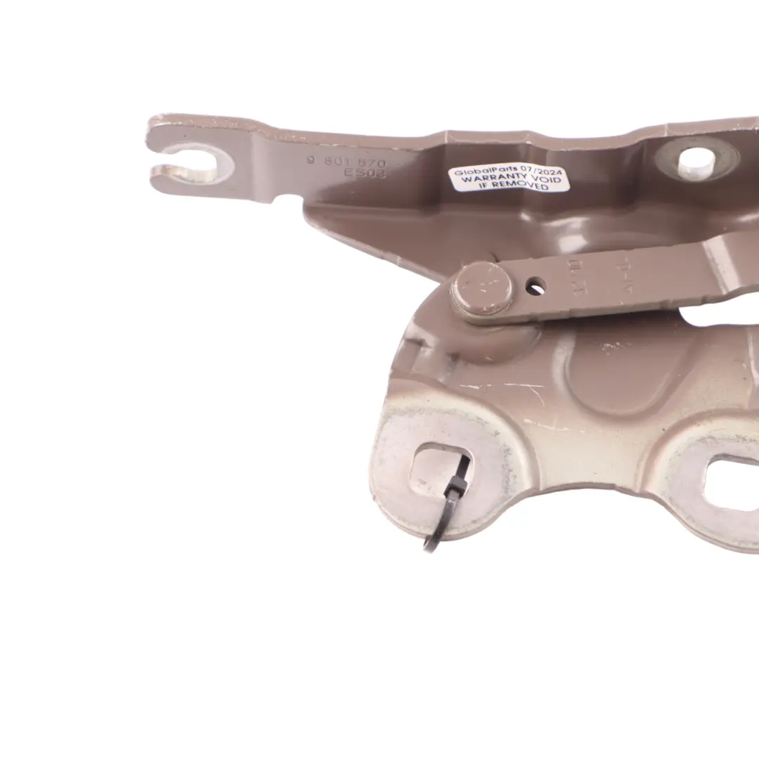 Bisagra Capó Delantera Derecha Café Claro B19 para Mini R60 con número de pieza 9801570 Mini R60 Bisagra Capó Delantera Derecha Café Claro B19 - SKU 9801570-LCF - Número de pieza 9801570