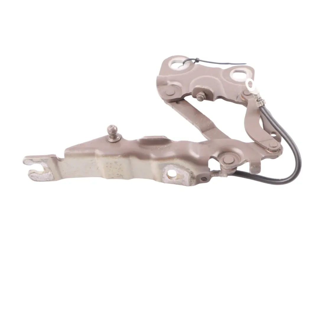 Bisagra Capó Delantera Derecha Café Claro B19 para Mini R60 con número de pieza 9801570 Mini R60 Bisagra Capó Delantera Derecha Café Claro B19 - SKU 9801570-LCF - Número de pieza 9801570