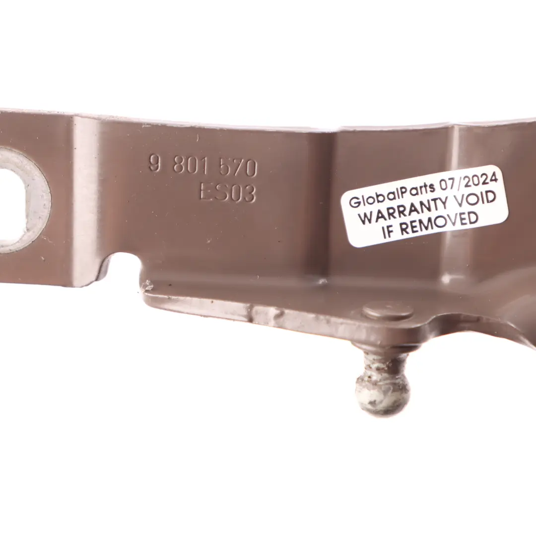 Bisagra Capó Delantera Derecha Café Claro B19 para Mini R60 con número de pieza 9801570 Mini R60 Bisagra Capó Delantera Derecha Café Claro B19 - SKU 9801570-LCF - Número de pieza 9801570