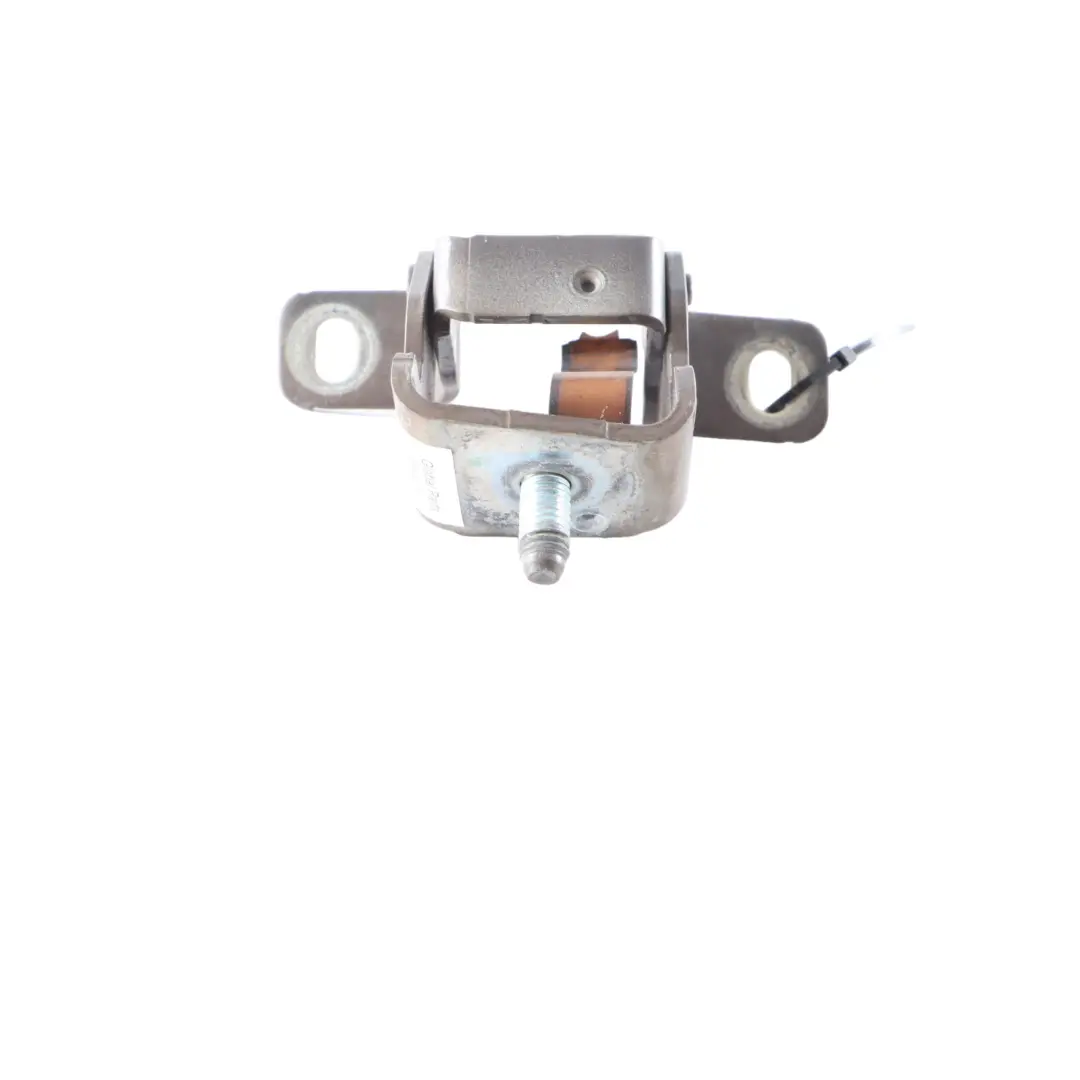 Left N/S Boot Trunk Lid Hinge Light Coffee B19 to Mini Countryman R60 Rear with Part number 9801721 Mini Countryman R60 Rear Left N/S Boot Trunk Lid Hinge Light Coffee B19 - SKU 9801721-LCF - Part number 9801721