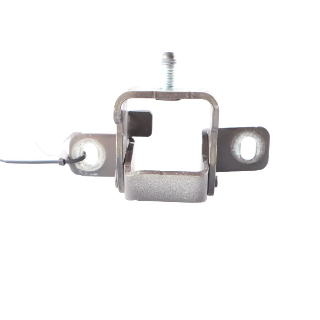 Left N/S Boot Trunk Lid Hinge Light Coffee B19 9801721 to Mini Countryman R60 Rear with Part number 9803050 Mini Countryman R60 Rear Left N/S Boot Trunk Lid Hinge Light Coffee B19 9801721 - SKU 9803050-LCF - Part number 9803050
