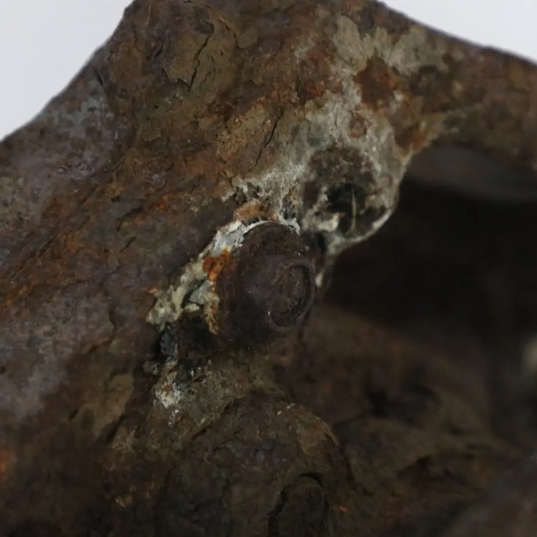 Portaruota Mini R60 R61 Sospensione Freno Portaruota Assale Anteriore per con numero di parte 9808399 Portaruota Mini R60 R61 Sospensione Freno Portaruota Assale Anteriore - SKU 9808399-2 - Numero di parte 9808399