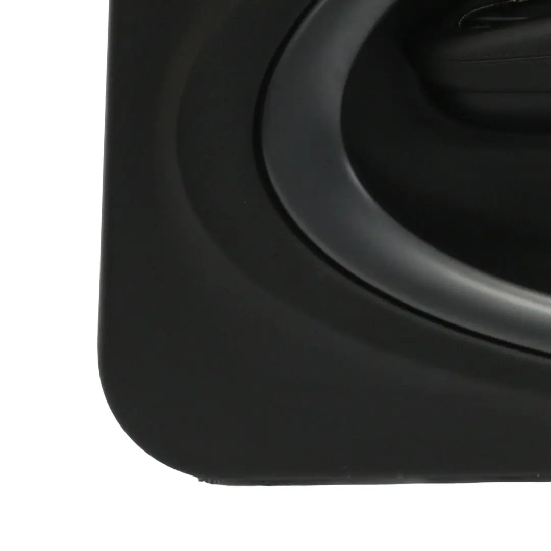 Mini R60 Cooper S Delantera Derecha Panel tarjeta puerta carbono negro - SKU 9812192 - Número de pieza 9812192
