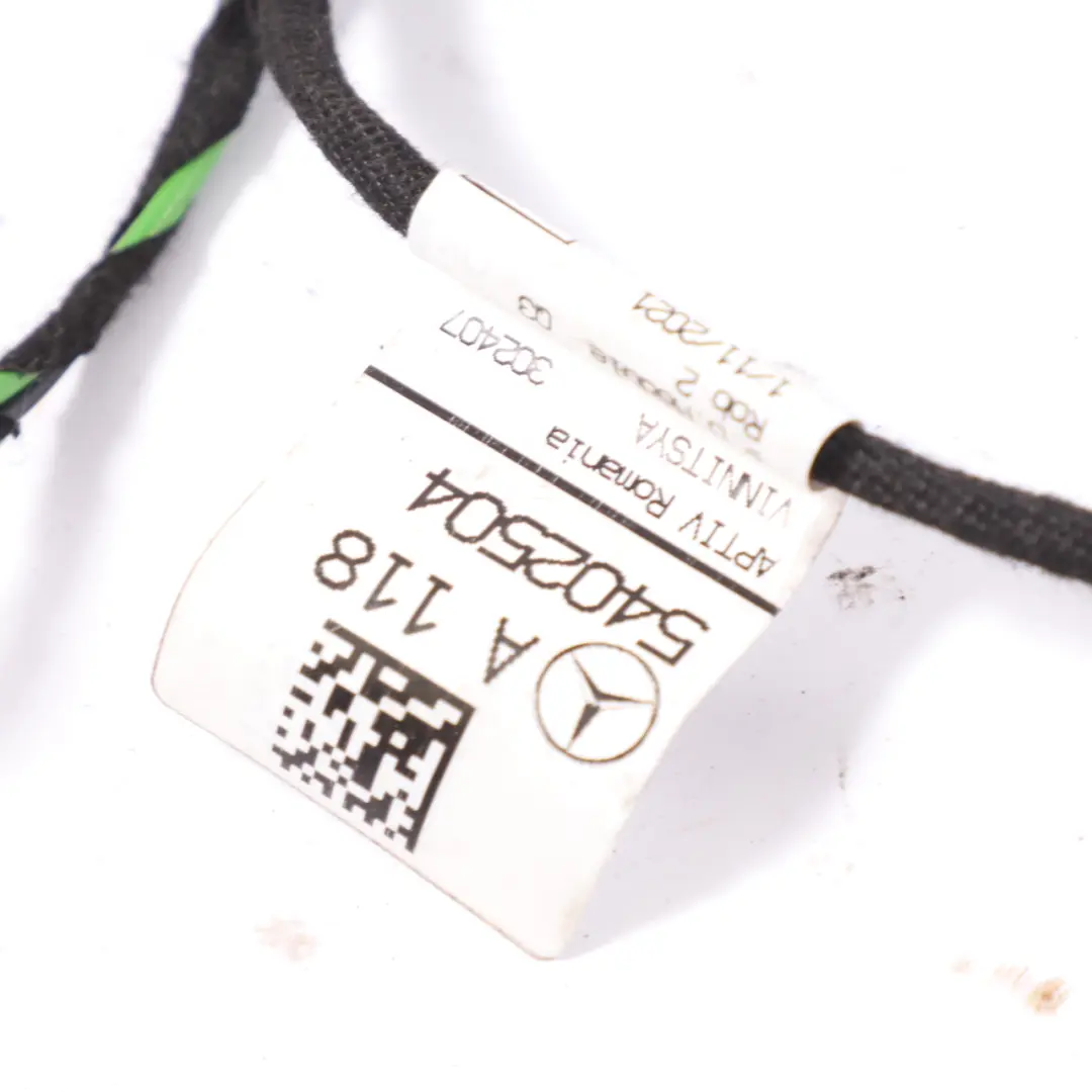 Mercedes C118 Arnés puerta trasera izquierda cableado puerta Loom - SKU A1185402504 - Número de pieza A1185402504