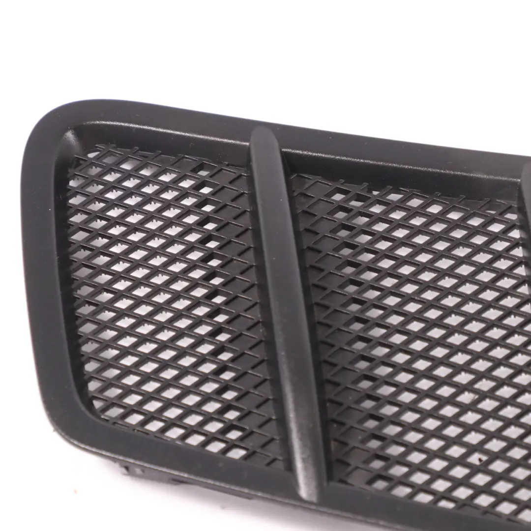 Mercedes C292 Cofano Griglia Radiatore Griglia Pannello copertura - SKU A1668800205 - Numero di parte A1668800205