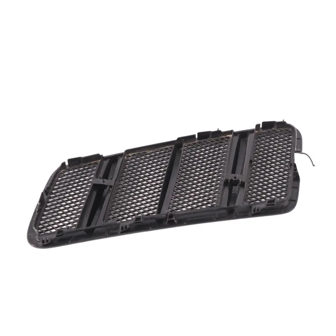 Mercedes C292 Front Hood Bonnet Radiator Grille Trim Panel Cover - SKU A1668800205 - Part number A1668800205