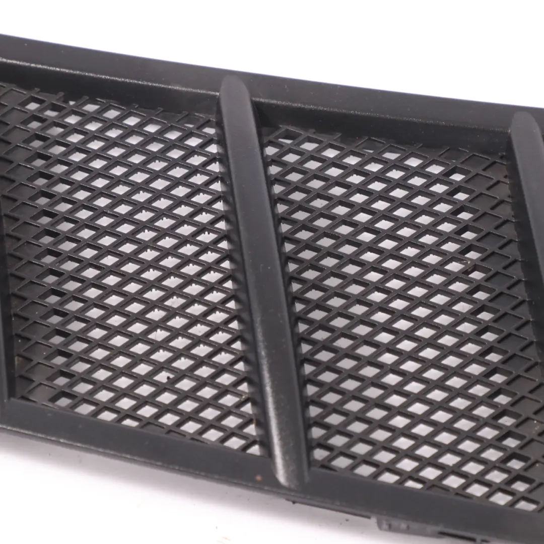 Mercedes C292 Front Hood Bonnet Radiator Grille Trim Panel Cover - SKU A1668800205 - Part number A1668800205