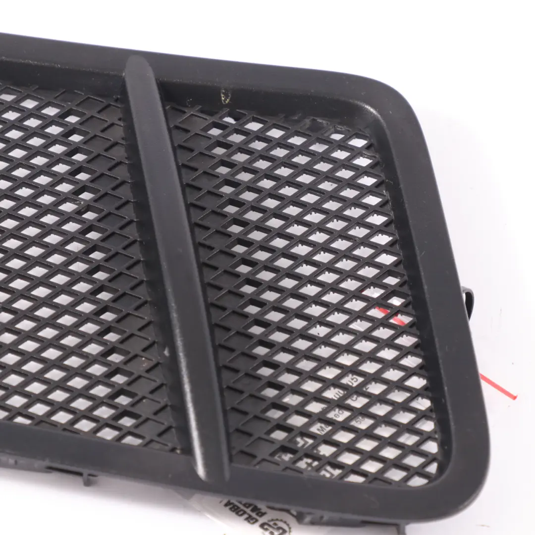 Mercedes C292 Capot avant Capot Grille protection Panneau finition - SKU A1668800205 - Numéro de pièce A1668800205