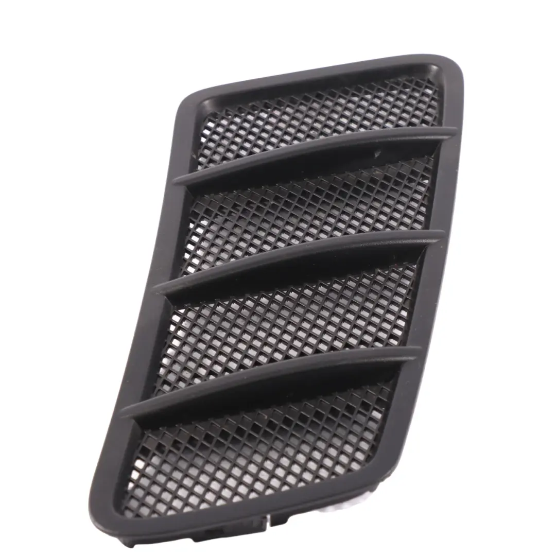 Mercedes C292 Front Hood Bonnet Radiator Grille Trim Panel Cover - SKU A1668800205 - Part number A1668800205