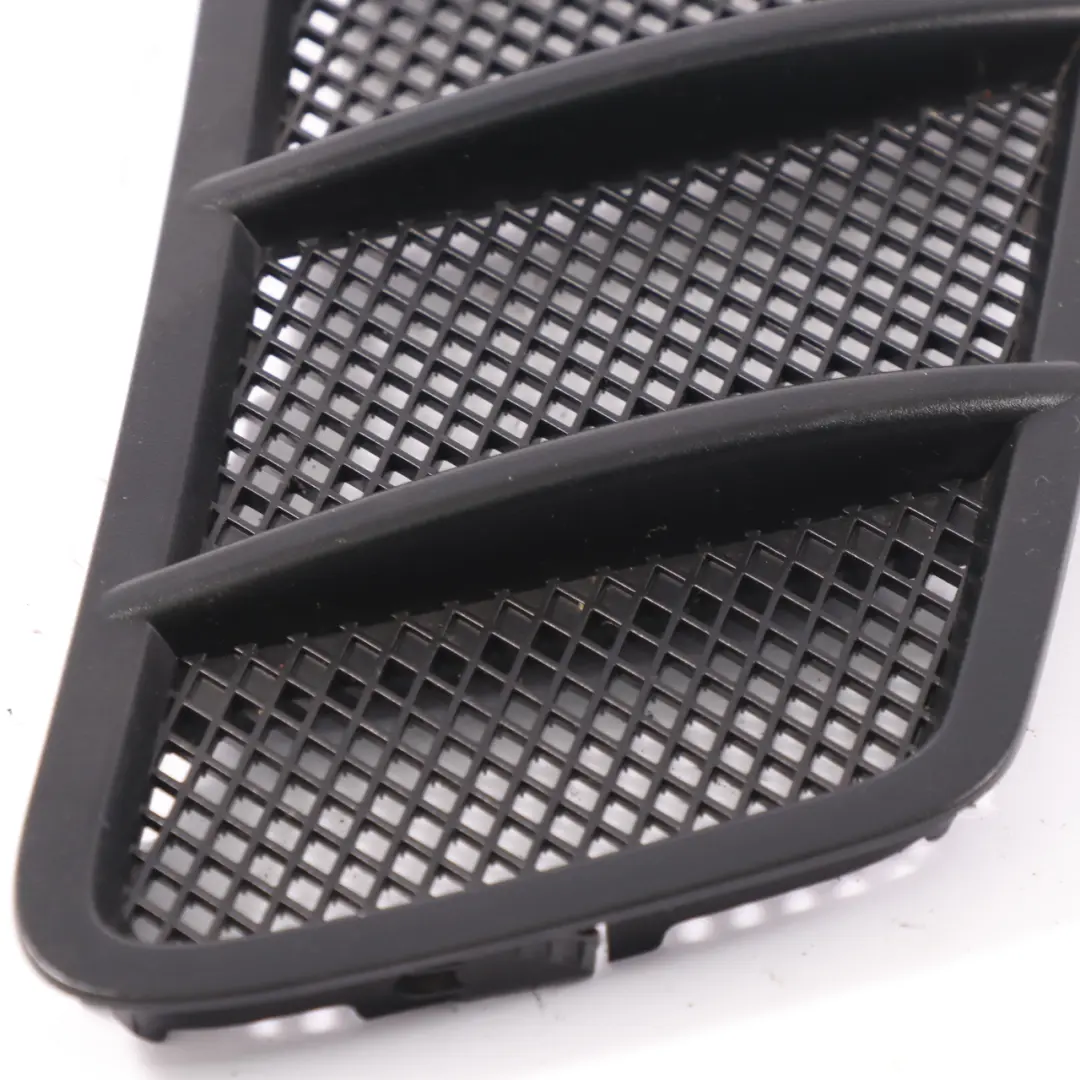Mercedes C292 Front Hood Bonnet Radiator Grille Trim Panel Cover - SKU A1668800205 - Part number A1668800205