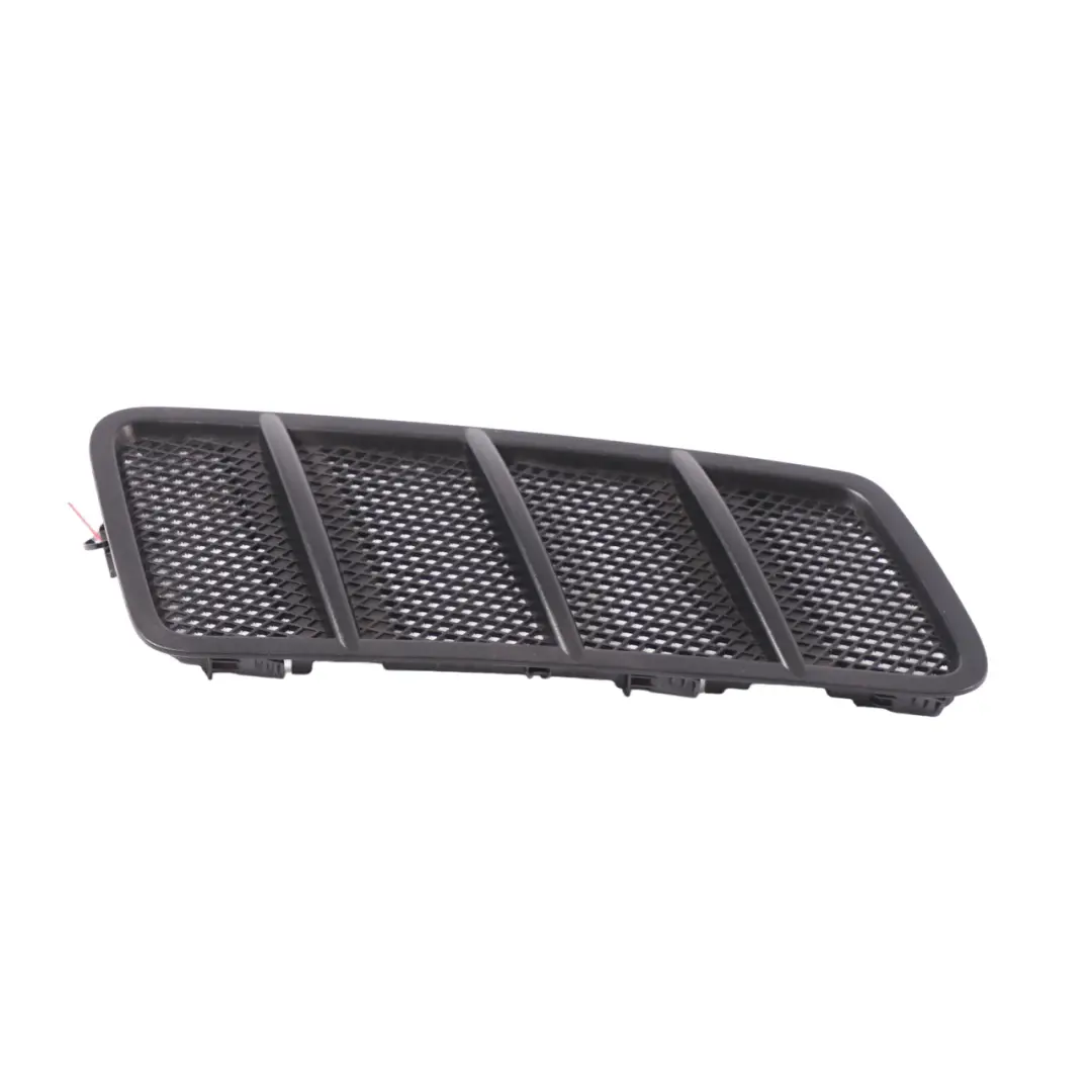 Mercedes C292 Front Hood Bonnet Radiator Grille Trim Panel Cover - SKU A1668800205 - Part number A1668800205