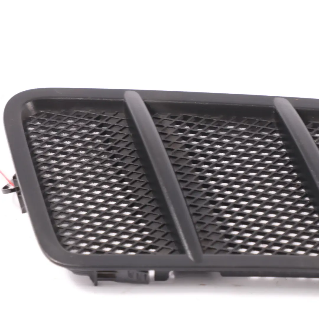 Mercedes C292 Cofano Griglia Radiatore Griglia Pannello copertura - SKU A1668800205 - Numero di parte A1668800205
