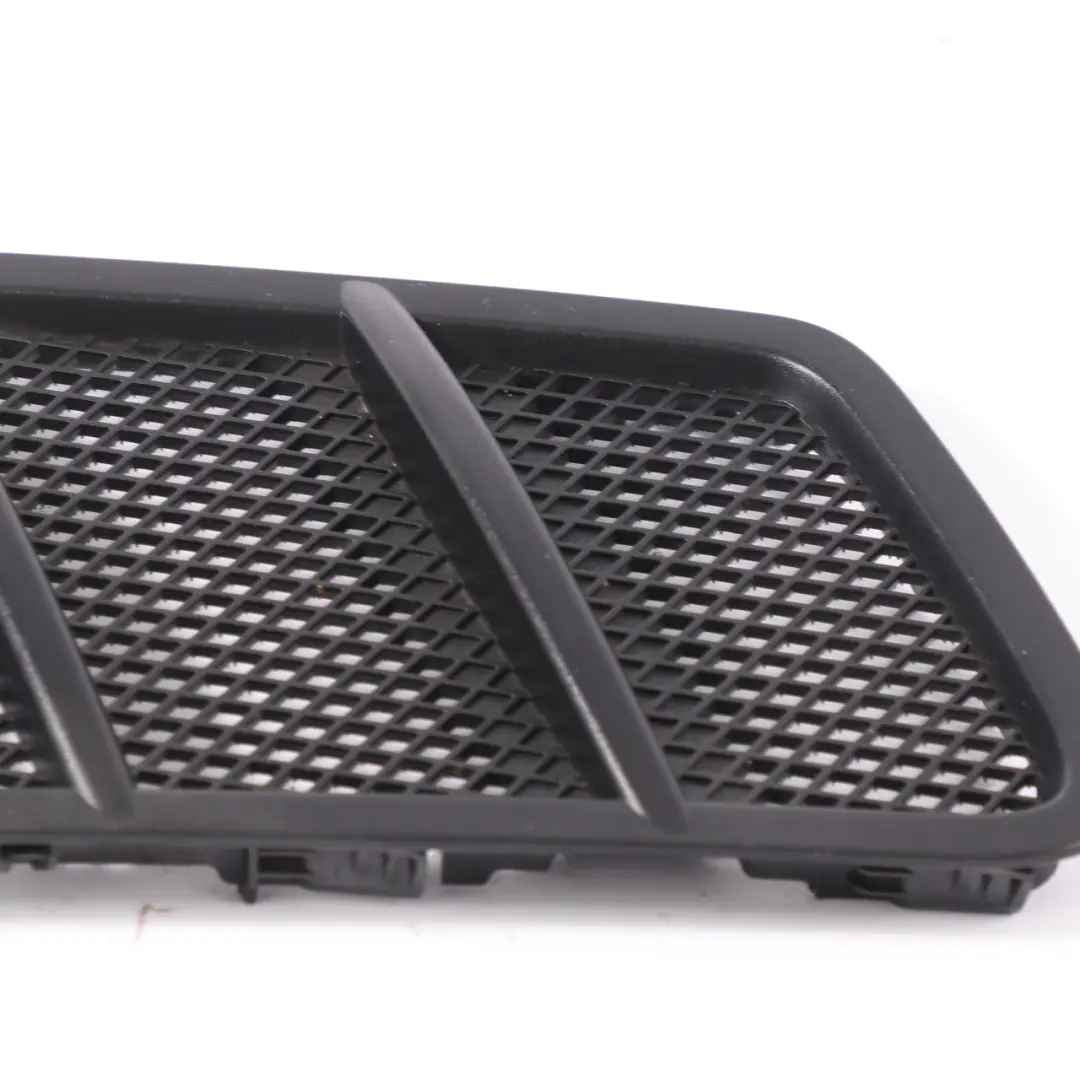 Mercedes C292 Cofano Griglia Radiatore Griglia Pannello copertura - SKU A1668800205 - Numero di parte A1668800205