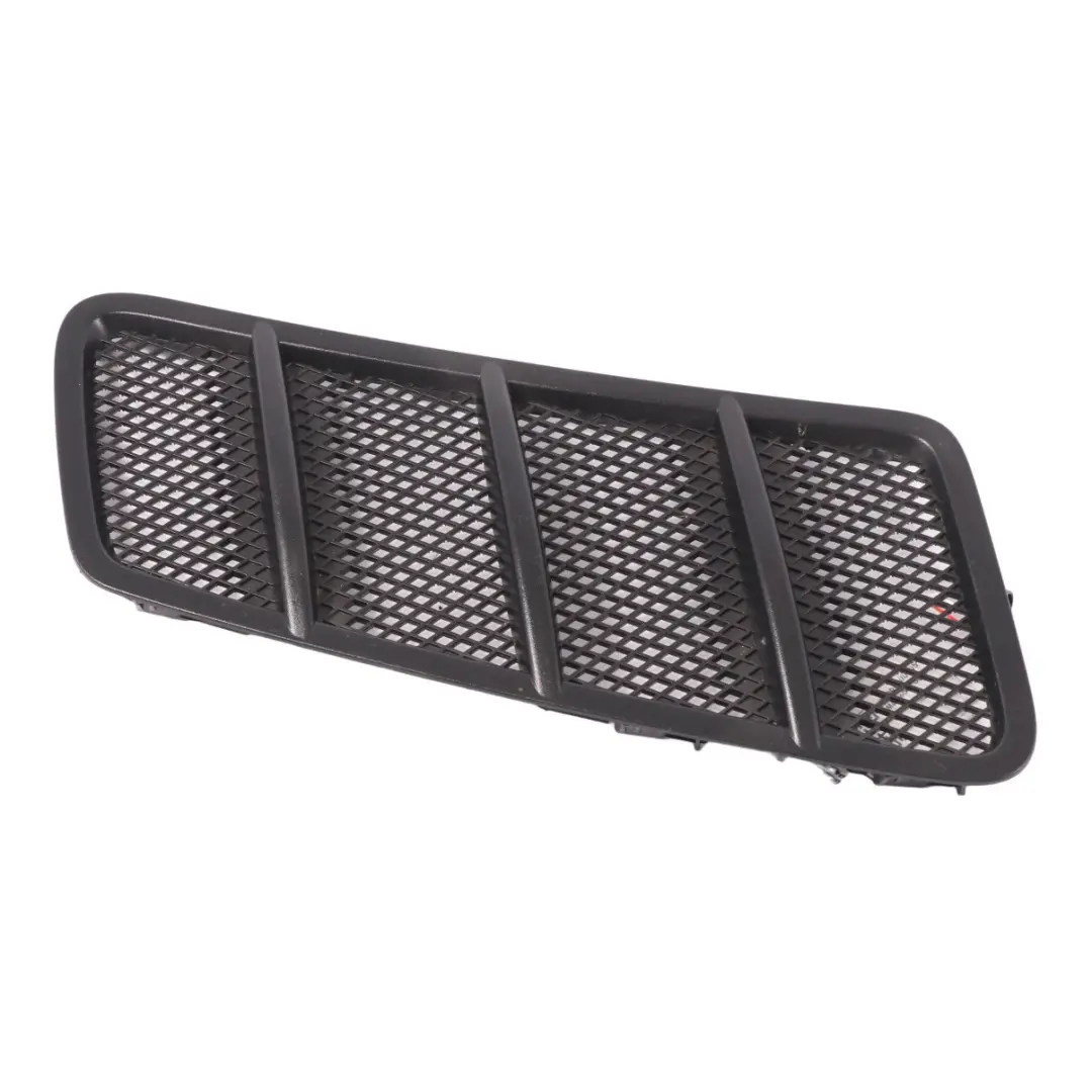 Mercedes C292 Front Hood Bonnet Radiator Grille Trim Panel Cover - SKU A1668800205 - Part number A1668800205