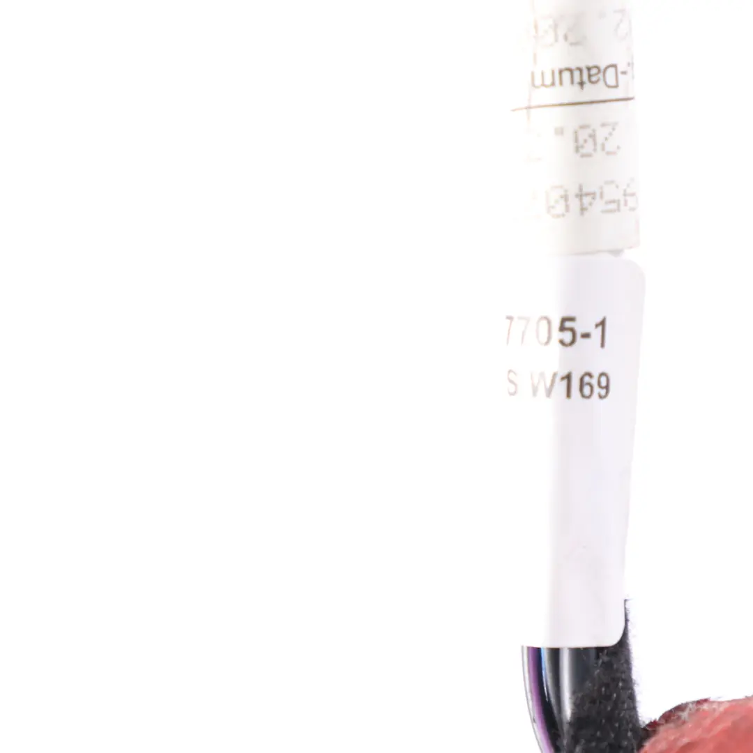 Tür Kabel Kabelbaum Kabelbaum Vorne Links für Mercedes W169 W245 mit Teilenummer A1695407705 Mercedes W169 W245 Tür Kabel Kabelbaum Kabelbaum Vorne Links - SKU A1695407705-1 - Teilenummer A1695407705