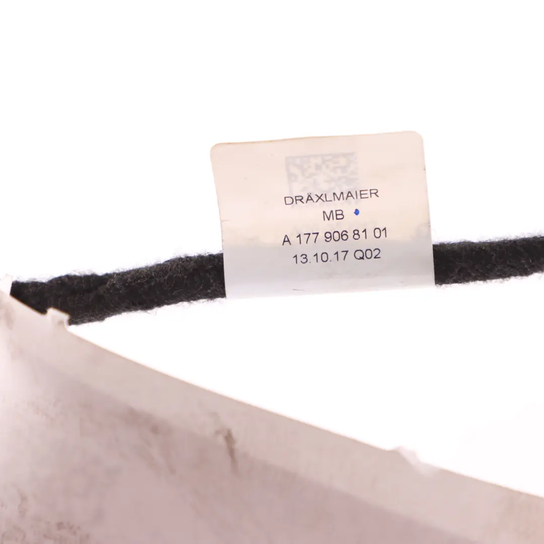 Dashboard Lighting Dash Panel Wiring Harness Cable to Mercedes W177 with Part number A1779068101 Mercedes W177 Dashboard Lighting Dash Panel Wiring Harness Cable - SKU A1779068101 - Part number A1779068101