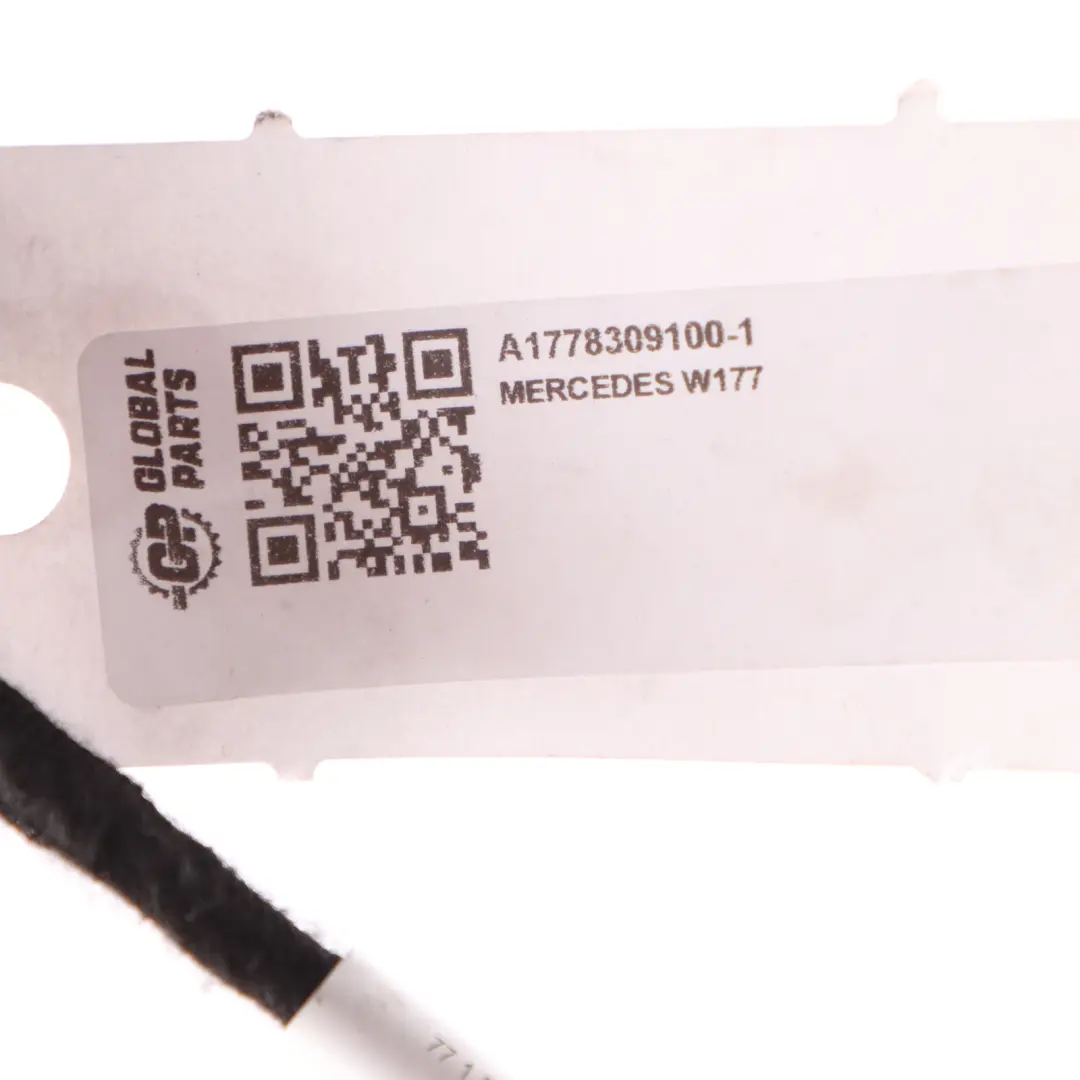 Mercedes W177 Dashboard Lighting Dash Panel Wiring Harness Cable - SKU A1779068101 - Part number A1779068101