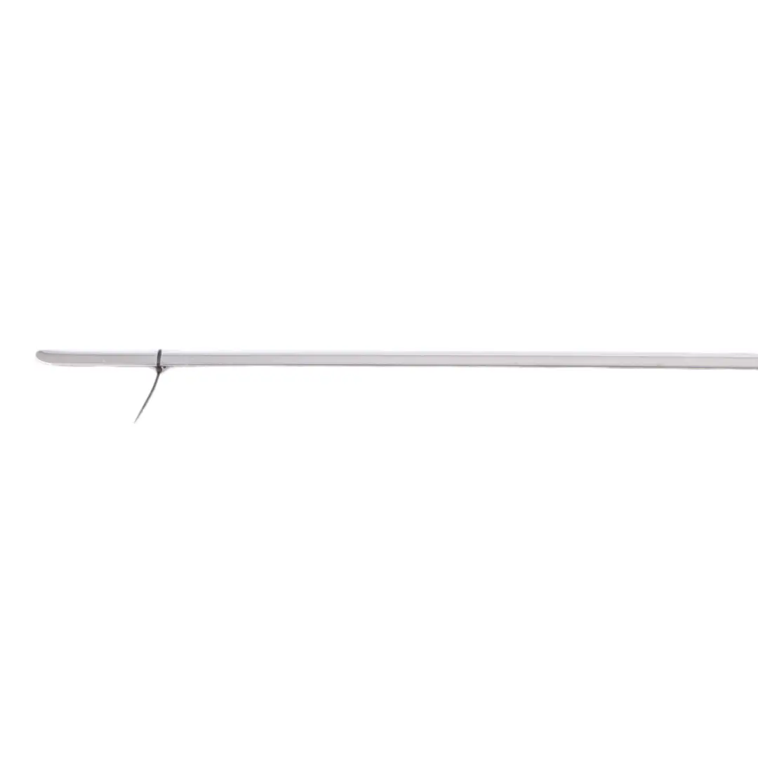 Mercedes W221 Window Strip Trim Door Rear Left N/S Moulding Seal - SKU A2216904580 - Part number A2216904580