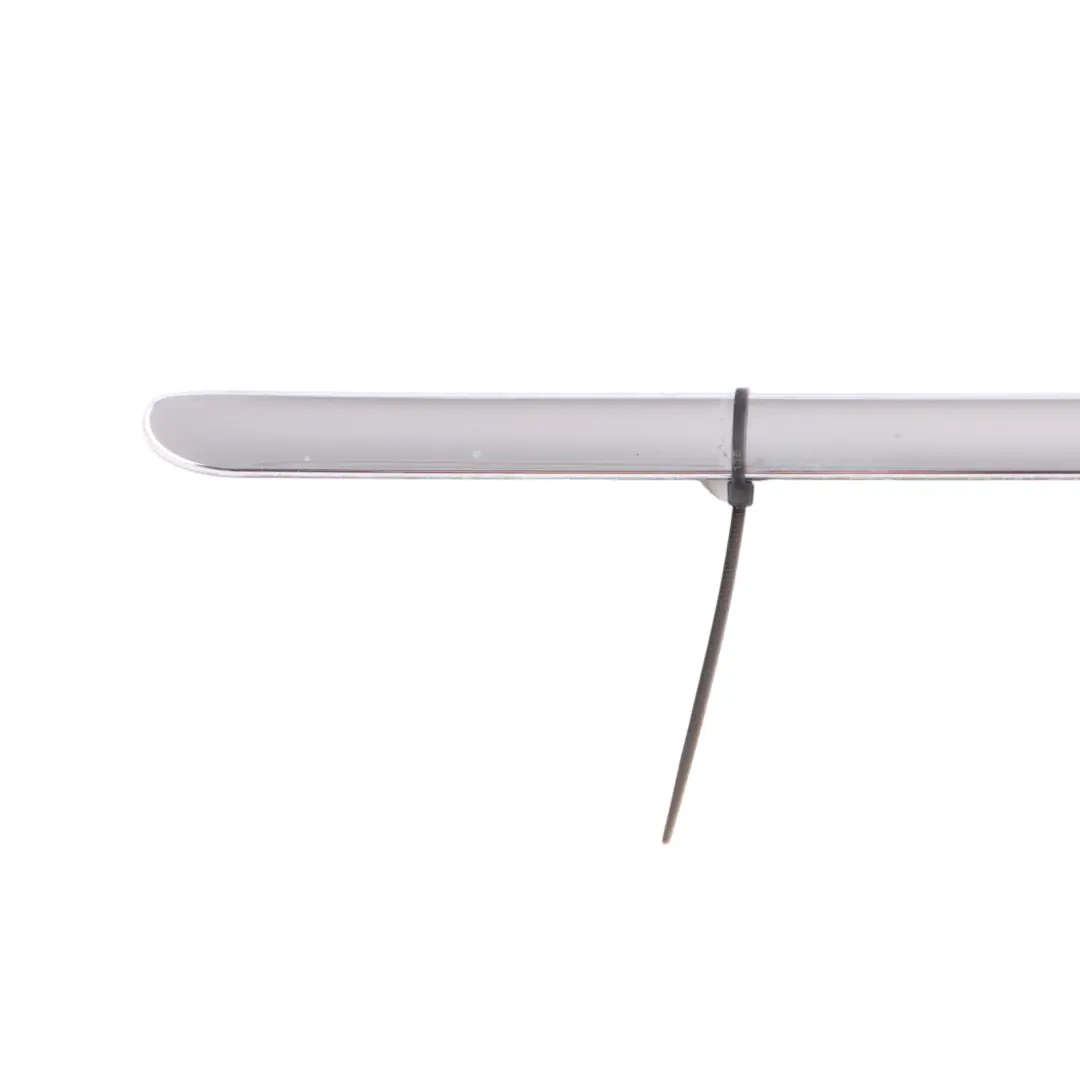 Mercedes W221 Window Strip Trim Door Rear Left N/S Moulding Seal - SKU A2216904580 - Part number A2216904580