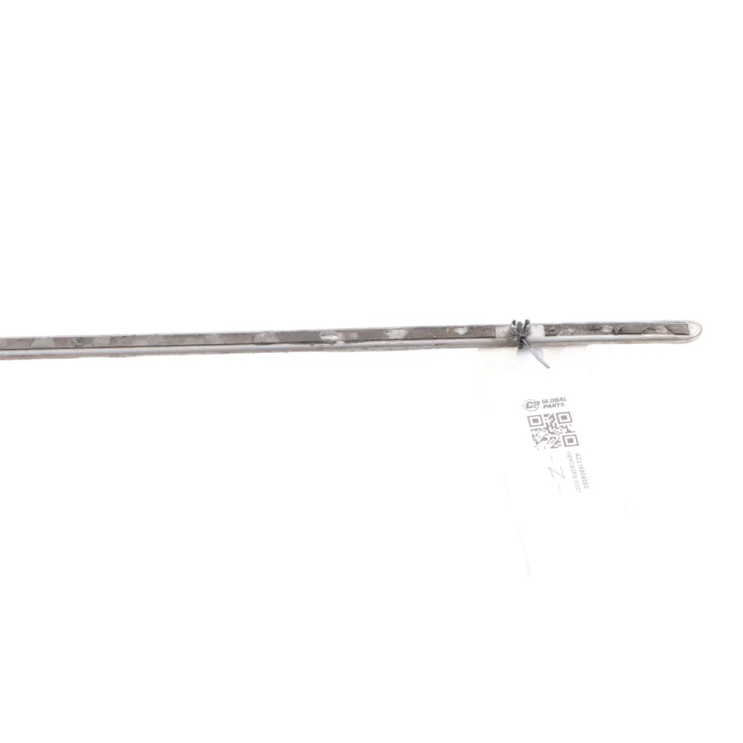 Mercedes W221 Window Strip Trim Door Rear Left N/S Moulding Seal - SKU A2216904580 - Part number A2216904580