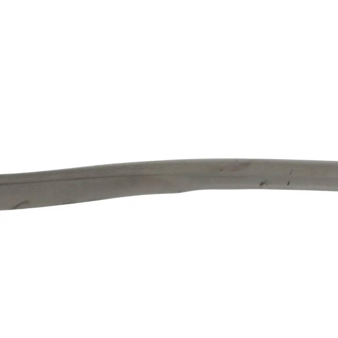 Mercedes W221 Türdichtung Kantenschutz Vorne Links Rechts - SKU A2216970551-1 - Teilenummer A2216970551