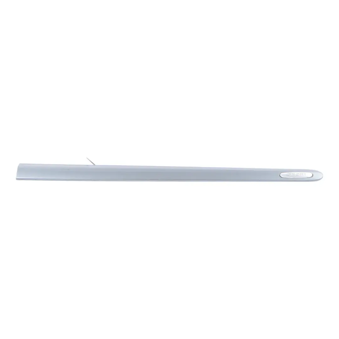 Mercedes Vito W639 Door Front Right O/S Moulding Strip Flint Grey Metallic - 368 - SKU A6396900562-FLG - Part number A6396900562