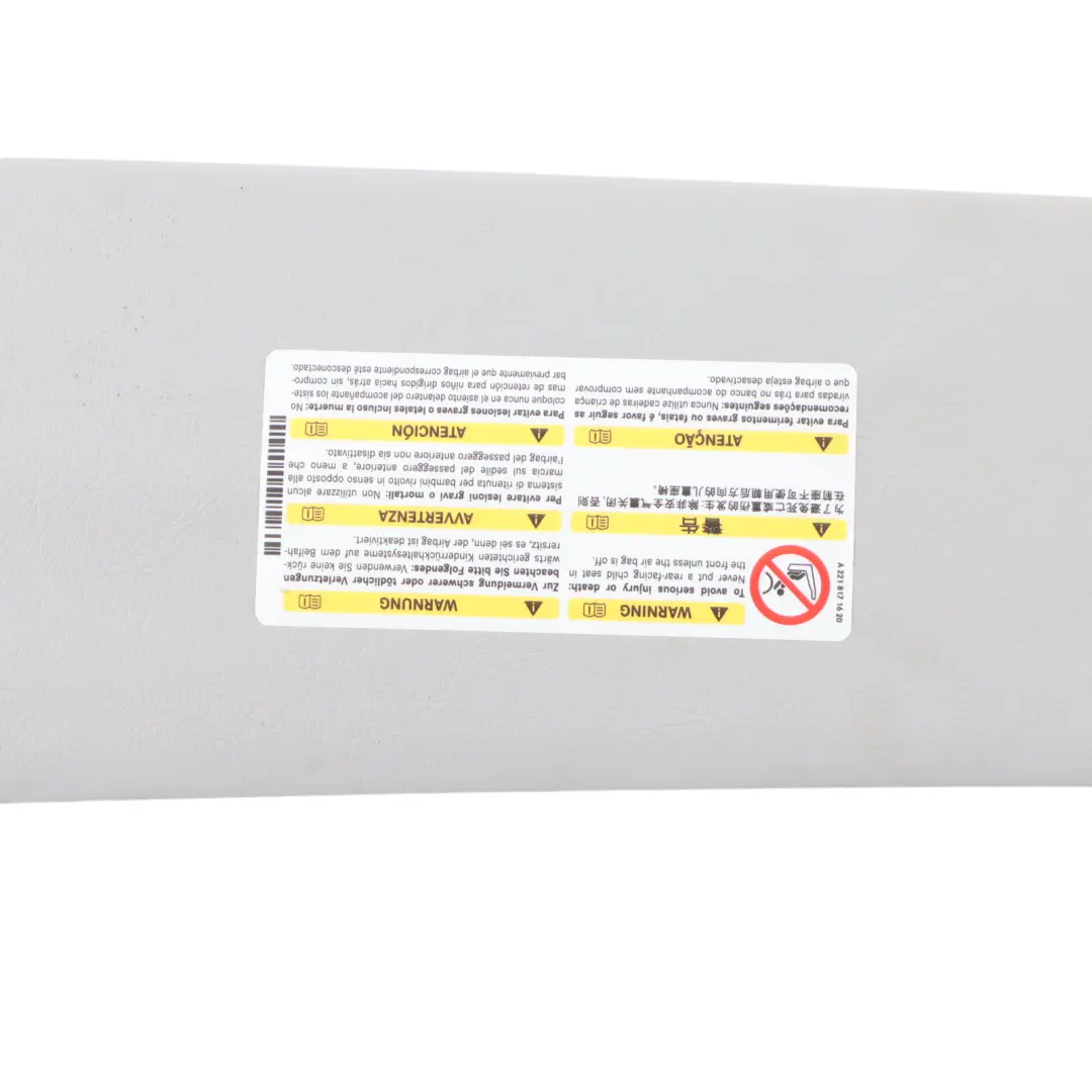 Mercedes Vito W639 Cache pare-soleil gauche gris - SKU A6398100010-3 - Numéro de pièce A6398100010