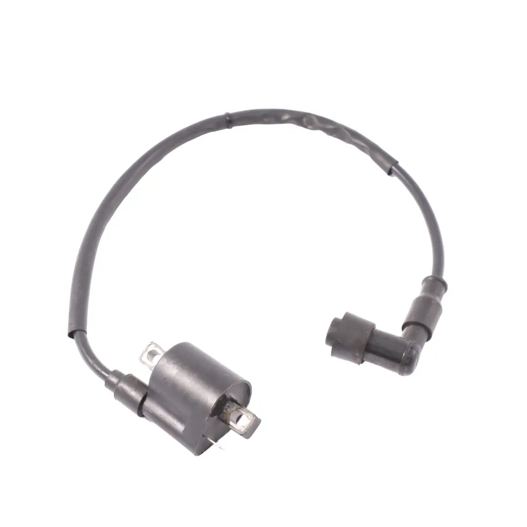 Unità bobina di accensione motore Jiajue 125 per con numero di parte Jiajue 125 Ignition Coil Unità bobina di accensione motore Jiajue 125 - SKU Jiajue 125 Ignition Coil - Numero di parte Jiajue 125 Ignition Coil