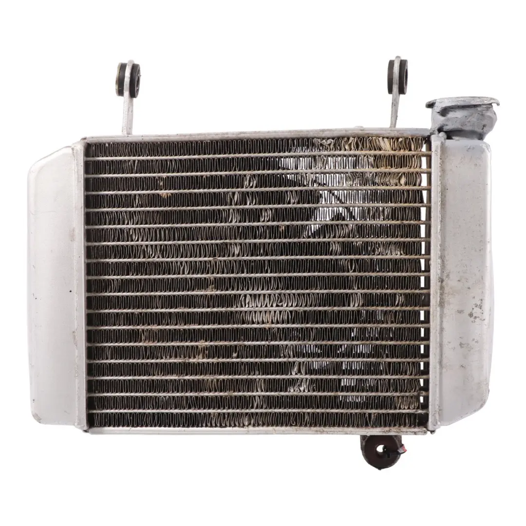 Jiajue 125 Refrigeración por Agua Radiador Enfriador Carenado Ventilador - SKU Jiajue-125-Radiator - Número de pieza Jiajue 125 Radiator