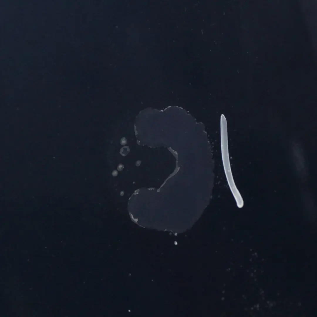 Front Hood Bonnet Panel Cover Stratus Blue Metallic - Z5B 4F0823029F to Audi A6 C6 with Part number 4F0823029F-STBL Audi A6 C6 Front Hood Bonnet Panel Cover Stratus Blue Metallic - Z5B 4F0823029F - SKU 4F0823029F-STBL - Part number 4F0823029F-STBL