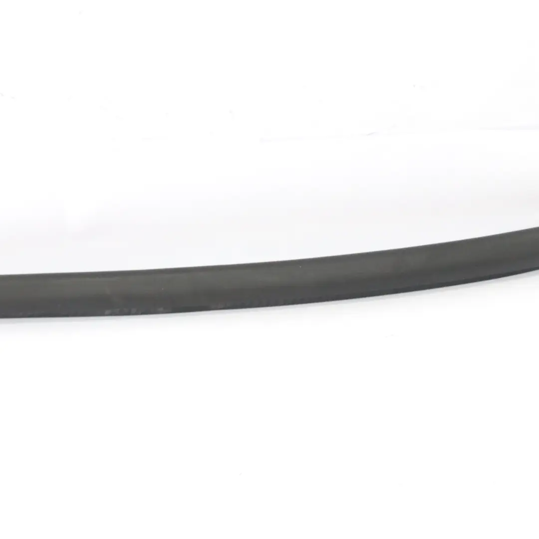 Audi A6 C6 Guarnizione Porta Anteriore Sinistra Destra Bordo Guardia - SKU 4F0831721G - Numero di parte 4F0831721G