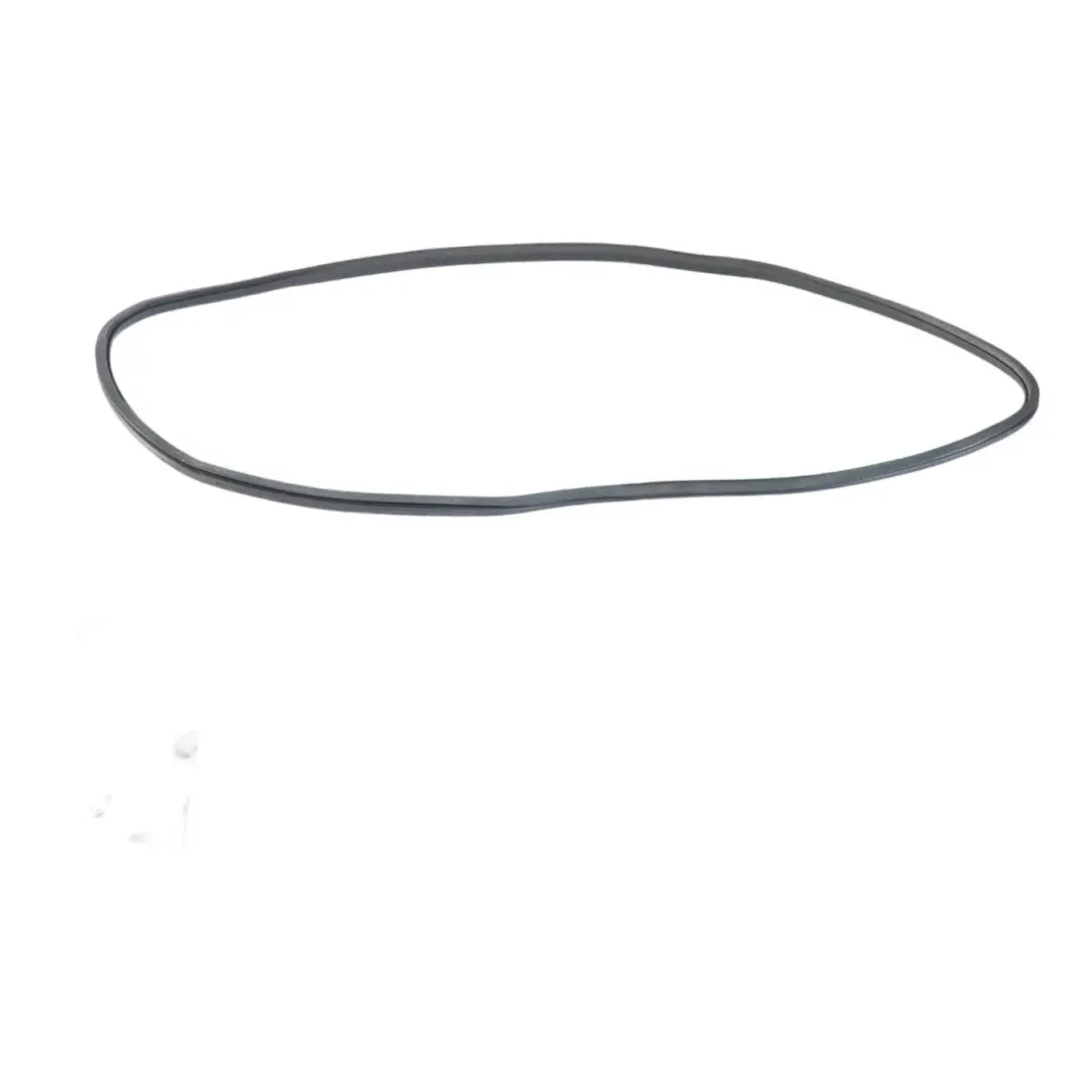 Audi A6 C6 Door Gasket Front Left Right N/O/S Guard Edge Seal - SKU 4F0831721G - Part number 4F0831721G