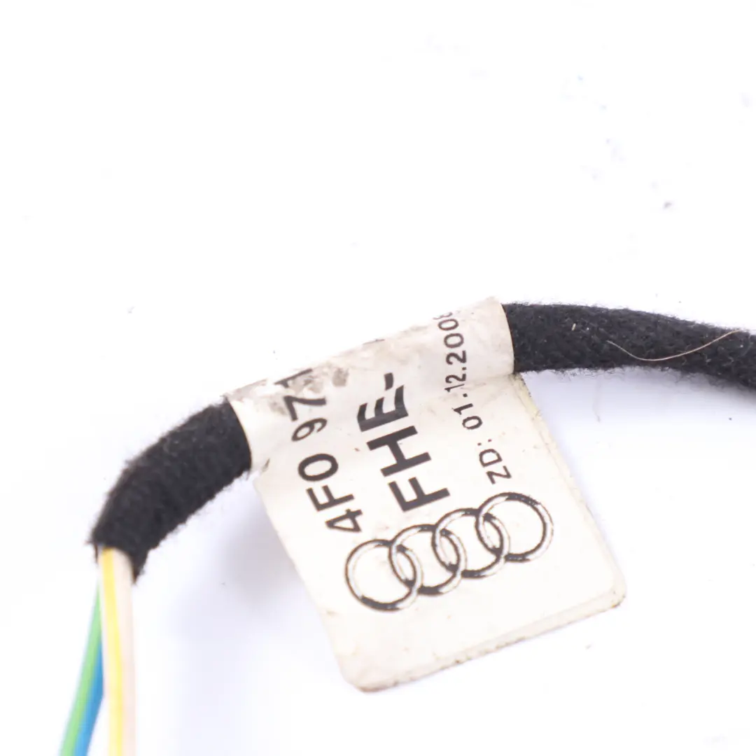 Audi A6 C6 alzacristalli regolatore motore cablaggio cavo cablaggio - SKU 4F0971687E - Numero di parte 4F0971687E