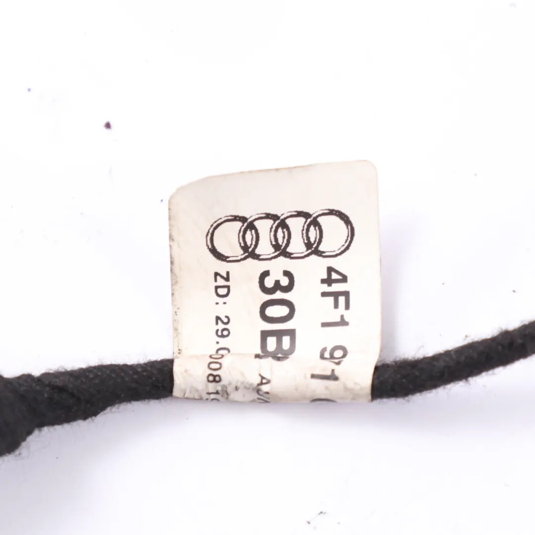 Faisceau câbles faisceau porte avant droite pour Audi A6 C6 à propos du numéro de pièce 4F1971030BD Audi A6 C6 Faisceau câbles faisceau porte avant droite - SKU 4F1971030BD - Numéro de pièce 4F1971030BD