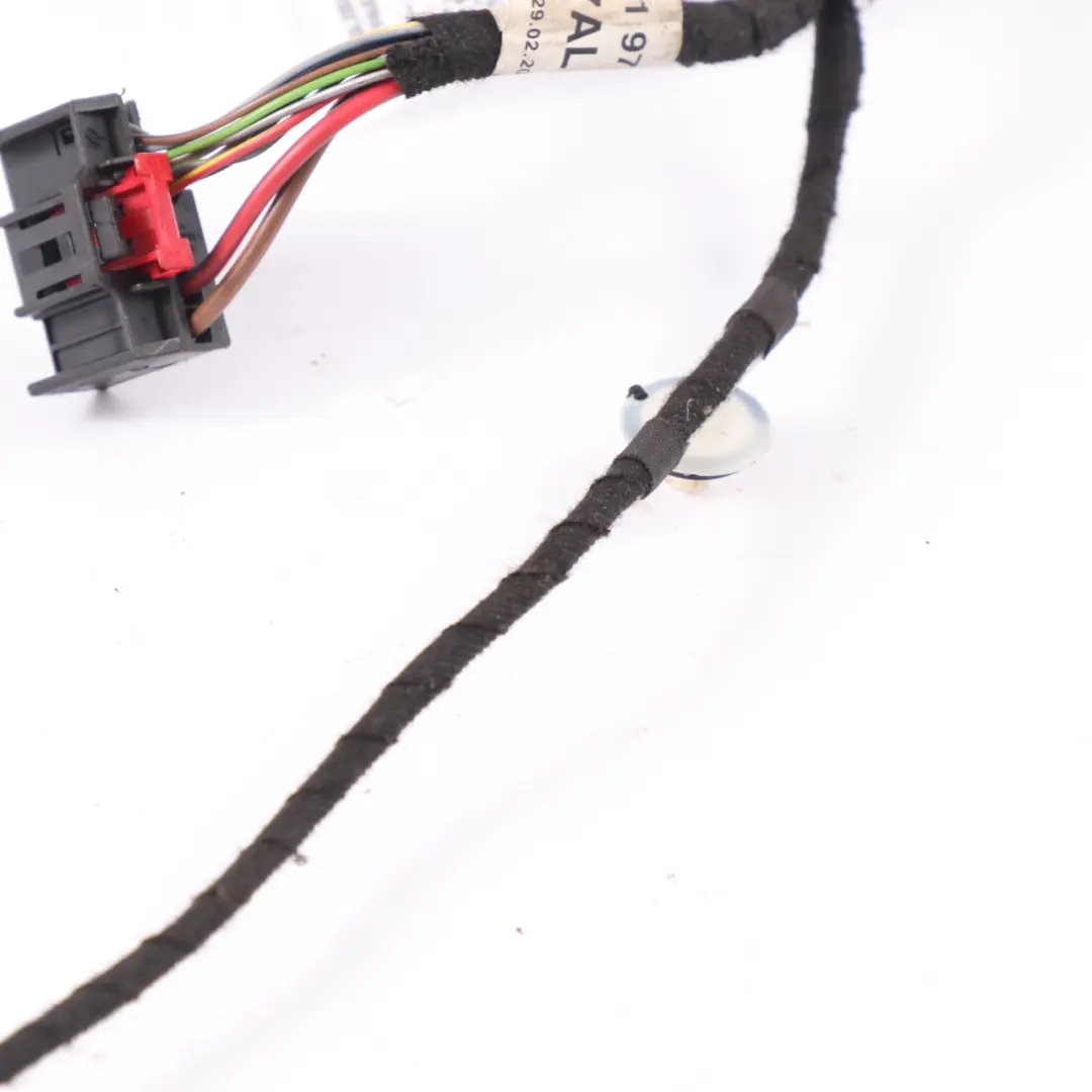 Audi A6 C6 Hinten Links Tür Kabel Baum - SKU 4F1971687AL - Teilenummer 4F1971687AL