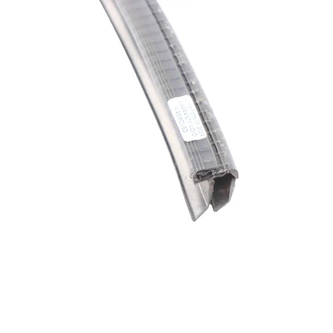 Audi Q7 4L Junta burlete trasero puerta interior izquierda conductor - SKU 4L0839479 - Número de pieza 4L0839479