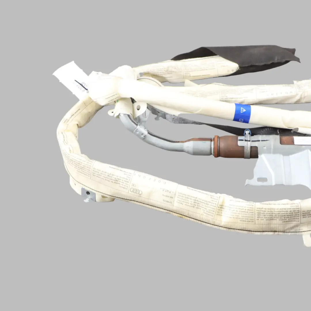 modulo aria SRS tetto sinistro passeggero cortina d'aria per Audi Q7 4L con numero di parte 4L0880741A Audi Q7 4L modulo aria SRS tetto sinistro passeggero cortina d'aria - SKU 4L0880741A - Numero di parte 4L0880741A