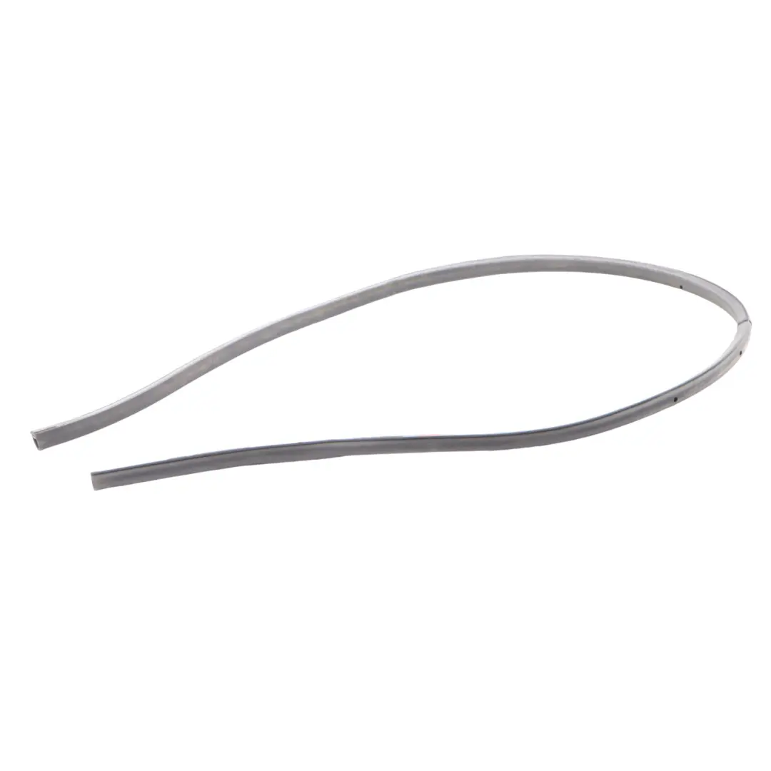 BMW F44 Gran Coupe Door Seal Lower Gasket Front Rear Right Left N/O/S - SKU 5A04ED3 - Part number 5A04ED3