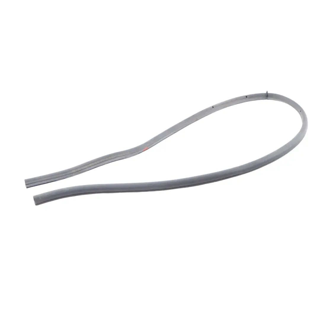 BMW F44 Gran Coupe Door Seal Lower Gasket Front Rear Right Left N/O/S - SKU 5A04ED3 - Part number 5A04ED3